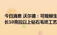 今日消息 沃尔德：可规模生产4克拉的高品质钻石毛坯，生长10克拉以上钻石毛坯工艺已基本稳定