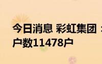 今日消息 彩虹集团：截至8月31日，公司总户数11478户