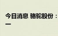 今日消息 骆驼股份：比亚迪是公司的客户之一