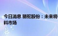 今日消息 骆驼股份：未来将优先考虑从商用车领域切入氢燃料市场