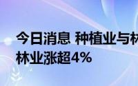 今日消息 种植业与林业板块异动拉升，永安林业涨超4%