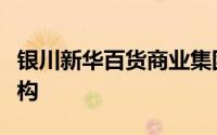 银川新华百货商业集团股份有限公司董事会结构