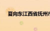 夏向东江西省抚州市广昌县果业局局长