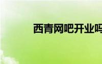 西青网吧开业吗现在（西青网）