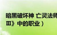 暗黑破坏神 亡灵法师（魔法师 《暗黑破坏神Ⅲ》中的职业）