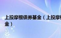 上投摩根债券基金（上投摩根阿尔法股票型证券投资基金基金）