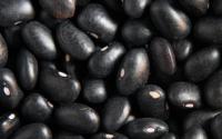 为什么黑豆是高血压患者的最佳食物