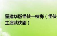 霍建华版怪侠一枝梅（怪侠一枝梅 2010年霍建华、刘诗诗主演武侠剧）