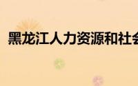 黑龙江人力资源和社会保障厅网上服务大厅