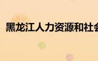 黑龙江人力资源和社会保障厅网上服务大厅