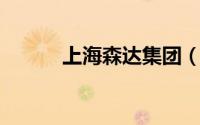 上海森达集团（森达 集团企业）
