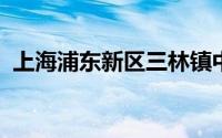 上海浦东新区三林镇中心小学属于哪个居委