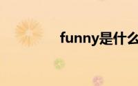 funny是什么意思（Fun.）