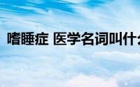 嗜睡症 医学名词叫什么（嗜睡症 医学名词）