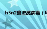 h5n2禽流感病毒（甲型H5N1流感病毒）