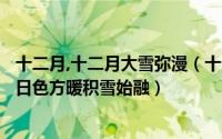 十二月,十二月大雪弥漫（十一月二十八日雪至十二月十一日日色方暖积雪始融）