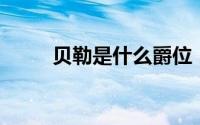 贝勒是什么爵位（贝勒 金国爵名）