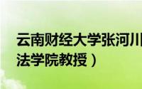 云南财经大学张河川（张河川 云南财贸学院法学院教授）