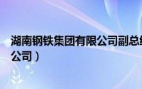 湖南钢铁集团有限公司副总经理张卫平（湖南钢铁集团有限公司）