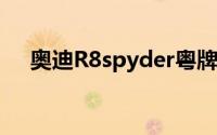 奥迪R8spyder粤牌（奥迪R8 Spyder）