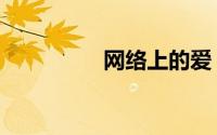网络上的爱（爱的网络）