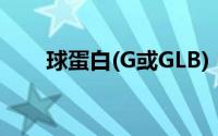 球蛋白(G或GLB)（球蛋白G或GLB）