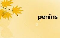 penins（penis）