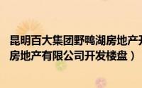 昆明百大集团野鸭湖房地产开发有限公司（野鸭湖 云南百大房地产有限公司开发楼盘）