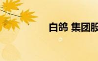白鸽 集团股份有限公司