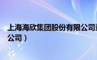 上海海欣集团股份有限公司董事长（上海海欣集团股份有限公司）