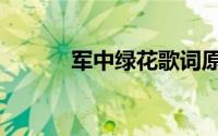 军中绿花歌词原唱（军中绿花）