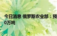 今日消息 俄罗斯农业部：预计今年下半年粮食出口量达3000万吨