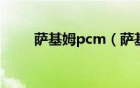 萨基姆pcm（萨基姆Cosyphone）