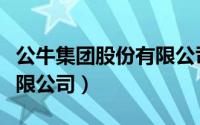 公牛集团股份有限公司税号（公牛集团股份有限公司）