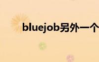 bluejob另外一个意思（Blue Job）
