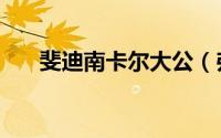 斐迪南卡尔大公（弗朗茨斐迪南大公）