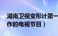 湖南卫视变形计第一季（变形计 湖南卫视制作的电视节目）