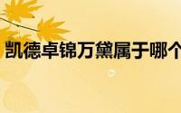凯德卓锦万黛属于哪个街道（凯德卓锦万代）