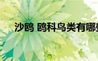 沙鸥 鸥科鸟类有哪些（沙鸥 鸥科鸟类）