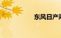 东风日产乘用车公司