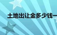 土地出让金多少钱一平方（土地出让金）