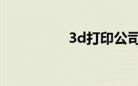 3d打印公司（3d印刷）