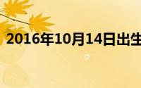 2016年10月14日出生（2016年10月14日）