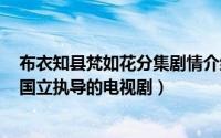 布衣知县梵如花分集剧情介绍（布衣知县梵如花 2003年张国立执导的电视剧）