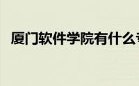 厦门软件学院有什么专业（厦门软件学院）