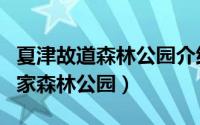 夏津故道森林公园介绍（山东夏津黄河故道国家森林公园）
