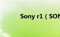 Sony r1（SONY MDR-R10）