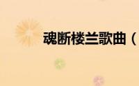 魂断楼兰歌曲（梦断楼兰 歌曲）