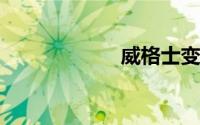 威格士变量柱塞泵