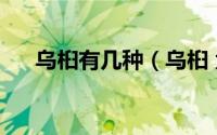 乌桕有几种（乌桕 大戟科乌桕属植物）